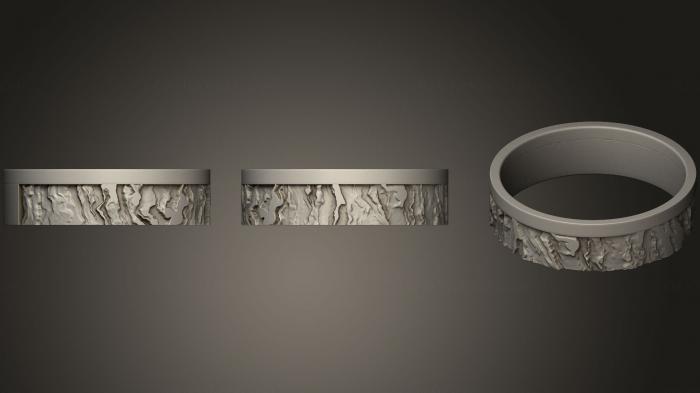 Jewelry rings (JVLRP_0687) 3D model for CNC machine